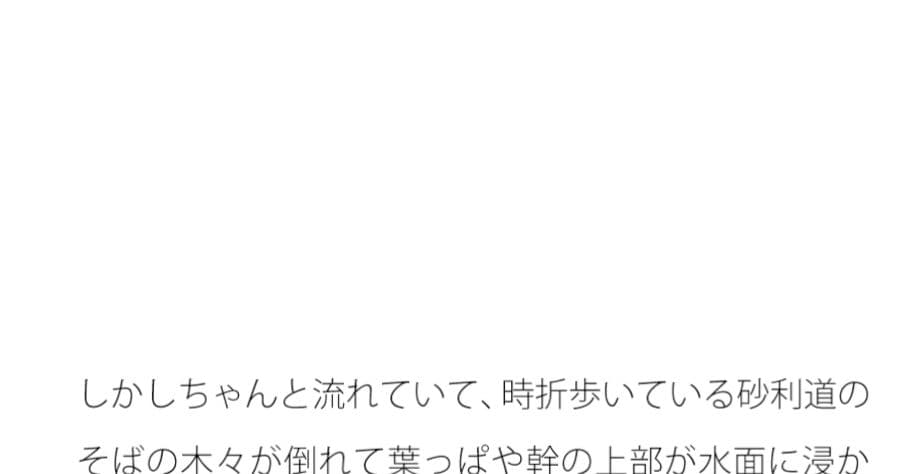横に海が流れる砂利道と木々 サンプル 1