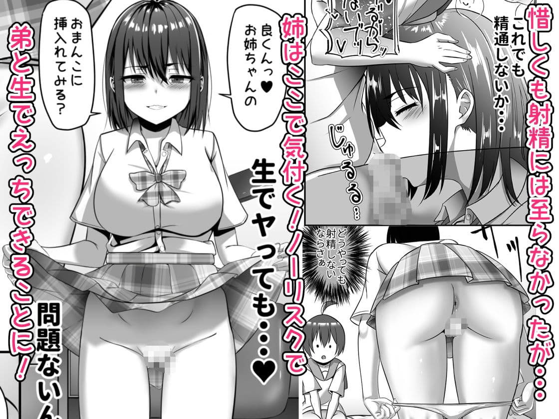 お姉ちゃんは弟の射精が見たい！後編 サンプル 3