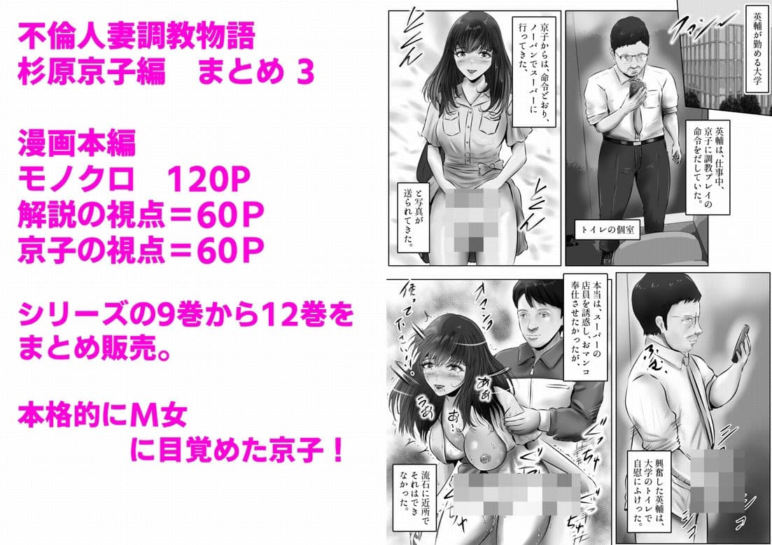 不倫人妻調教物語 杉原京子編 まとめ（3） サンプル 1