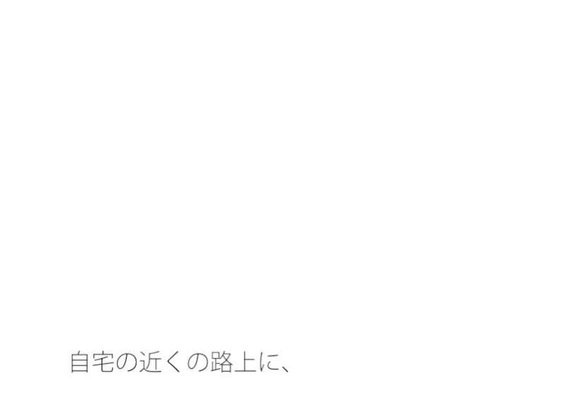 たまに尖っている路上の石ころ どのように咀嚼（そしゃく）をして サンプル 1