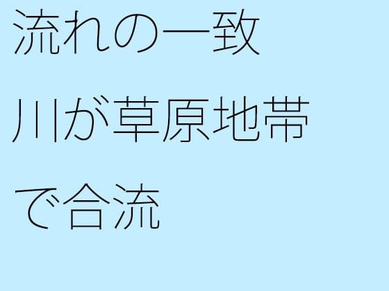 流れの一致 川が草原地帯で合流