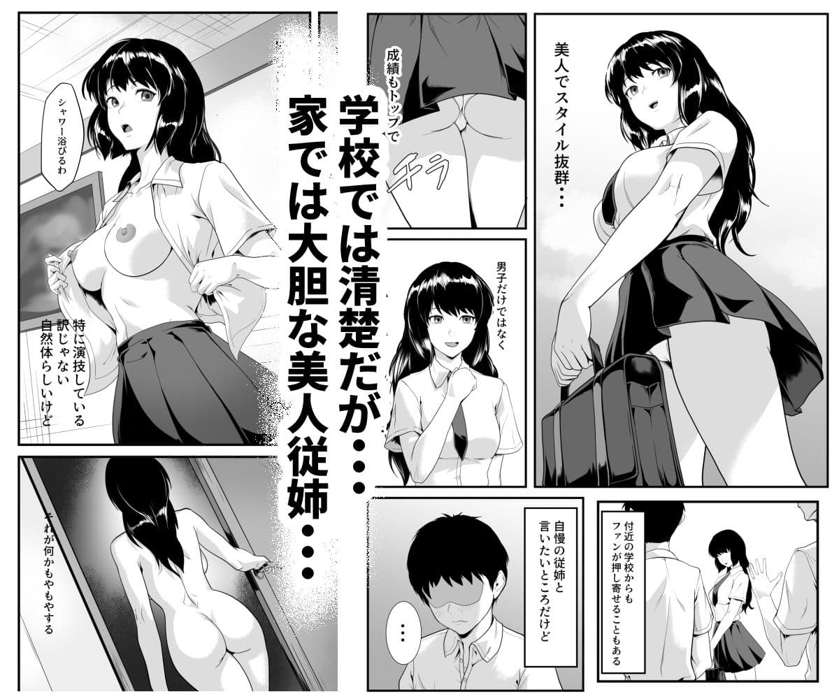 僕のせいで従姉の性癖が歪んでしまったかもしれない サンプル 1