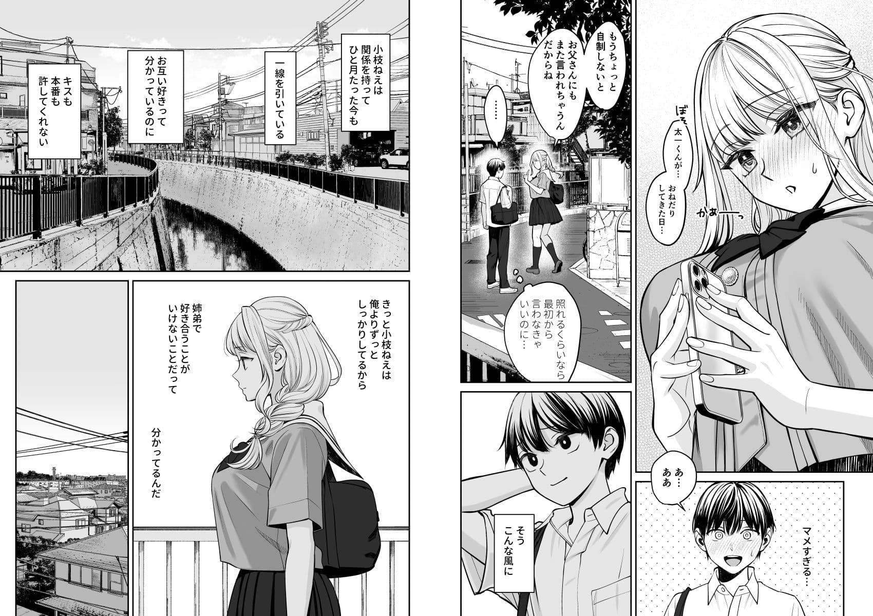 姉弟以外になれたなら サンプル 10