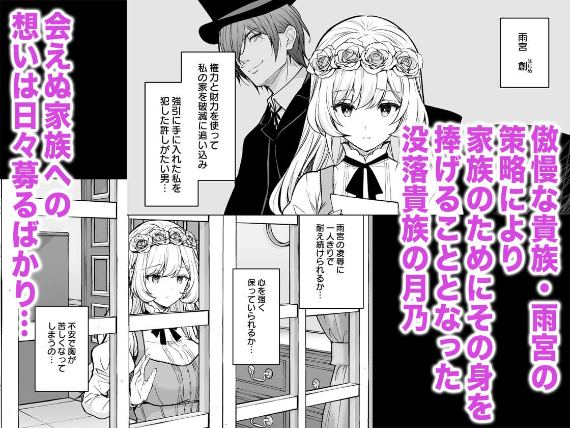 隷嬢の小夜曲 第二楽章 サンプル 1