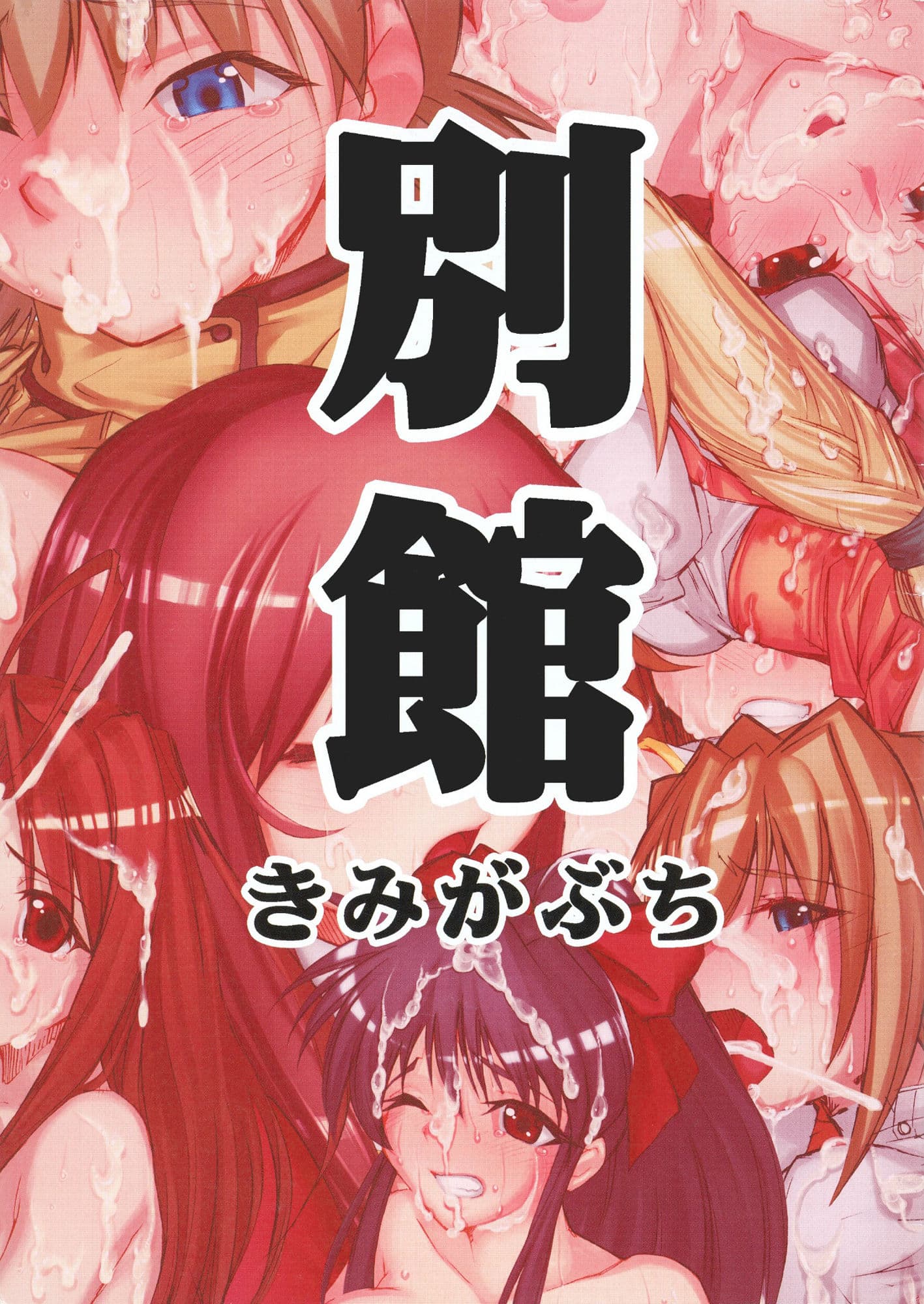 別館 きみがぶち サンプル 1