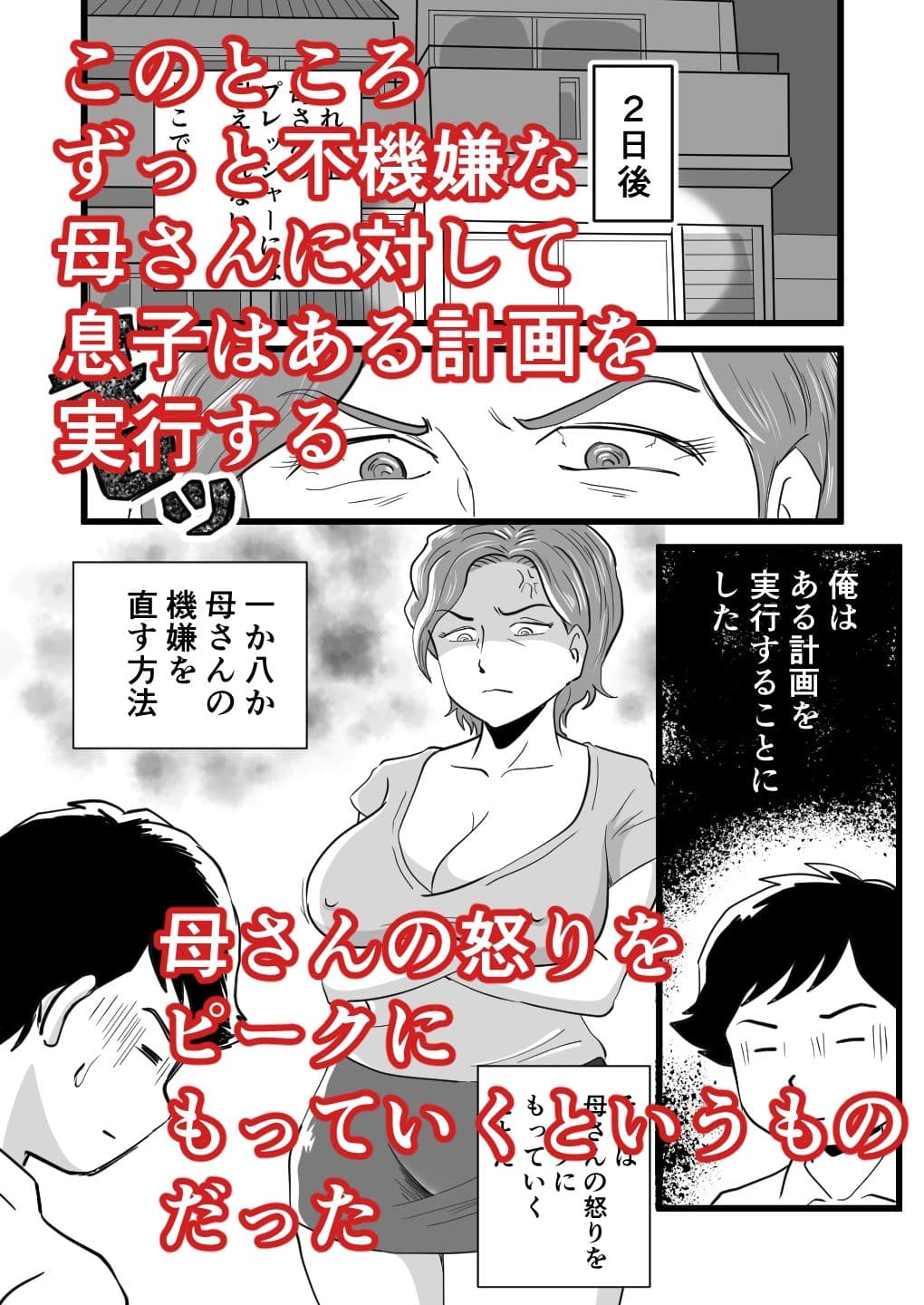 機嫌の悪い母を幸福にさせた息子 サンプル 2