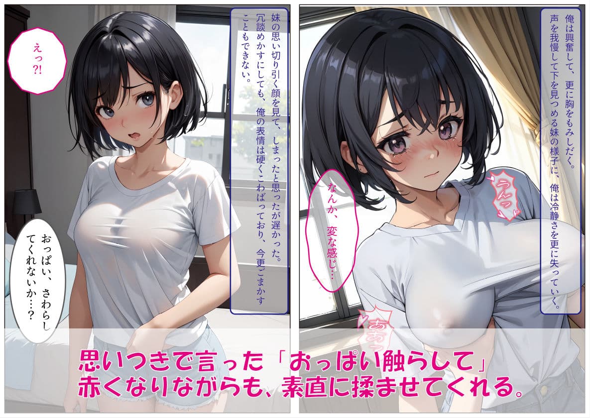 俺に従順な妹を調教して、専用オナホールにした件 サンプル 3