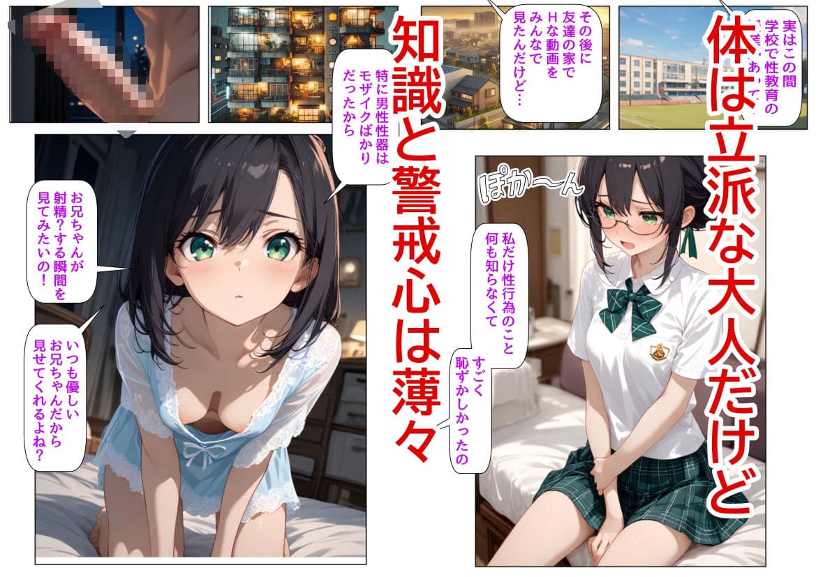 男のオナニーに興味津々な妹と、妹を騙してヤりたいお兄ちゃん サンプル 2