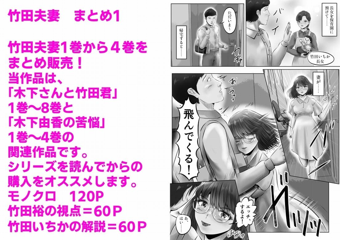 竹田夫妻 まとめ（1） サンプル 1