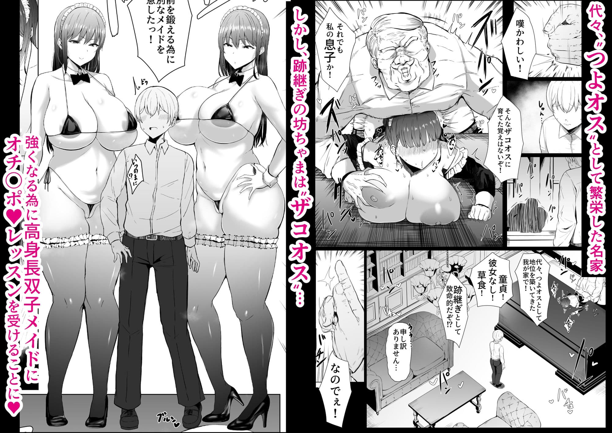 高身長双子メイドのオチ〇ポレッスン サンプル 2