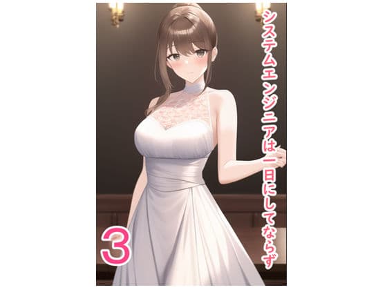 システムエンジニアは一日にしてならず3