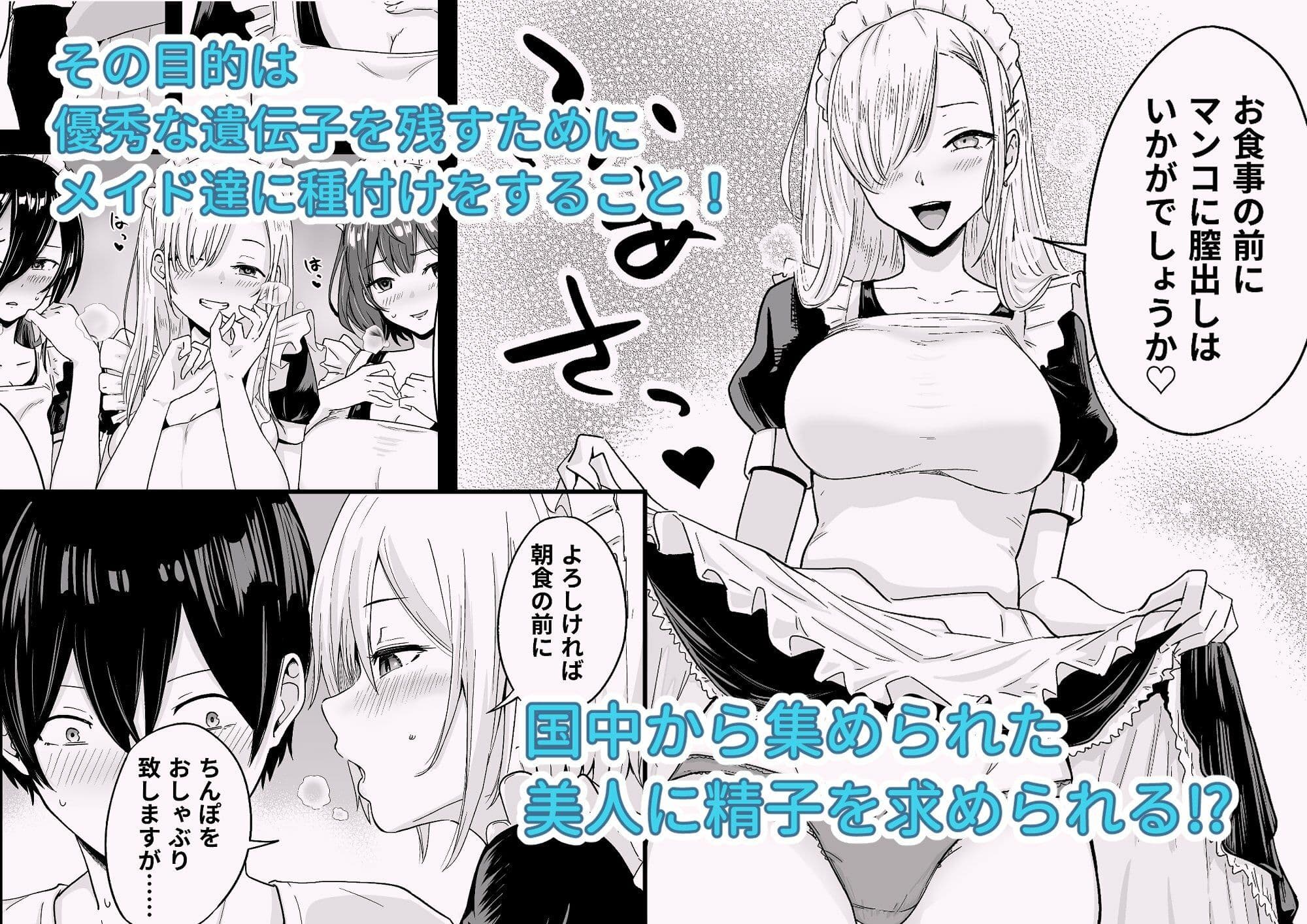 Sランク遺伝子認定されたので、優秀な子供を作るためメイドに中出しして妊娠させる話。 サンプル 3
