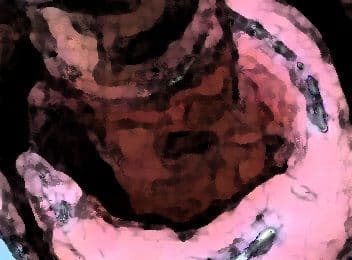 私の蟲姦遊び 27話 妊娠中にジャンボタニシの卵編 サンプル 1