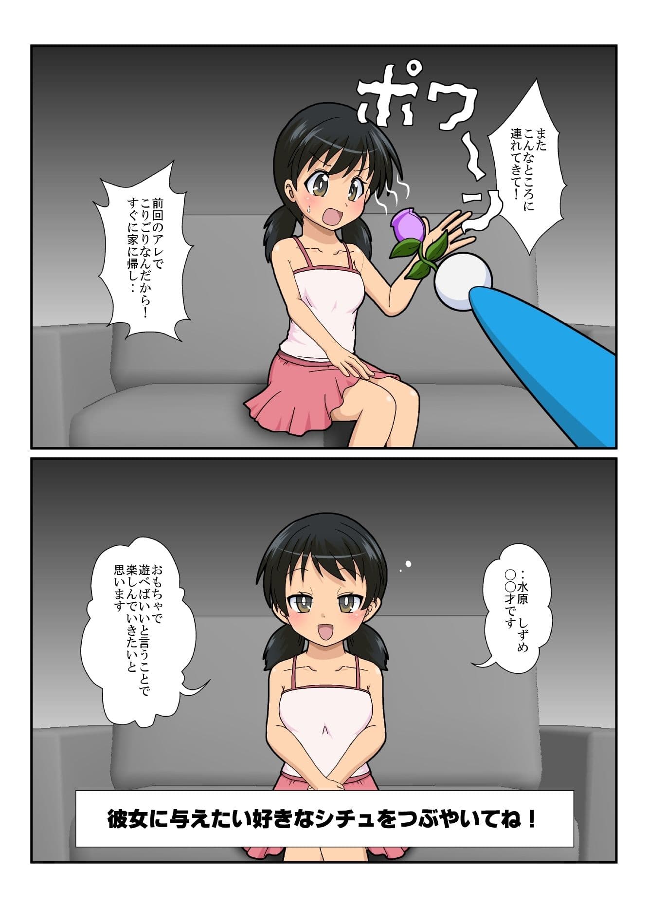 不思議なおもちゃで特殊性癖カタログ2 サンプル 1