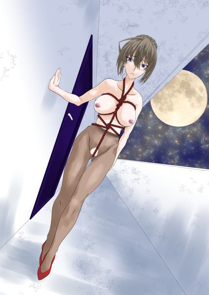 人妻奴●飼育マンション・序 サンプル 1