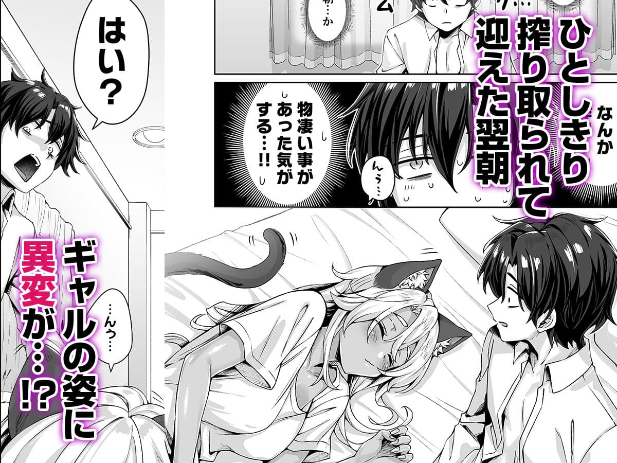 ギャル猫娘がうちに住み着いてなぜか毎日3P三昧になってしまう話 サンプル 6