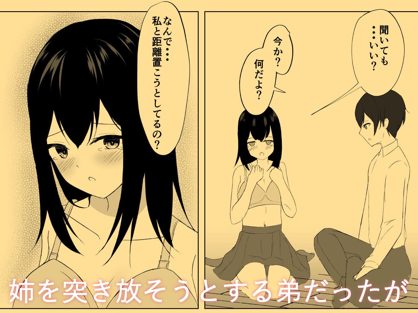 年子の姉と サンプル 2