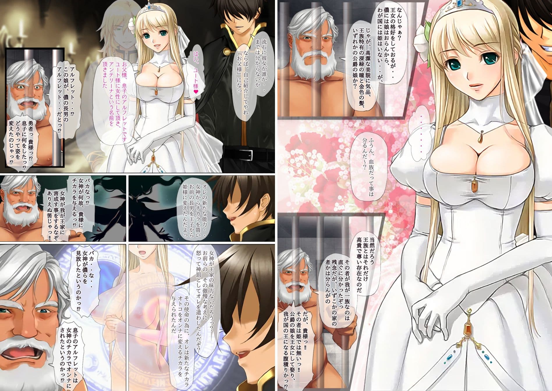 異世界勇者であるオレのヒロイン達が王子達に寝取られたから、王子達をオレのオンナにしてやつた 〜インテリ王子アルフレット、正統派王女アンテリーナにされる〜 サンプル 1