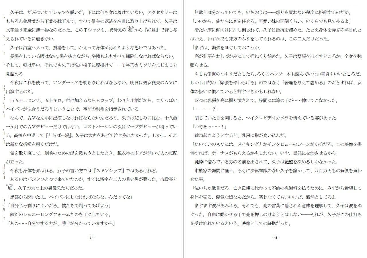 800万円のDVR:1淫虐調教編 サンプル 3