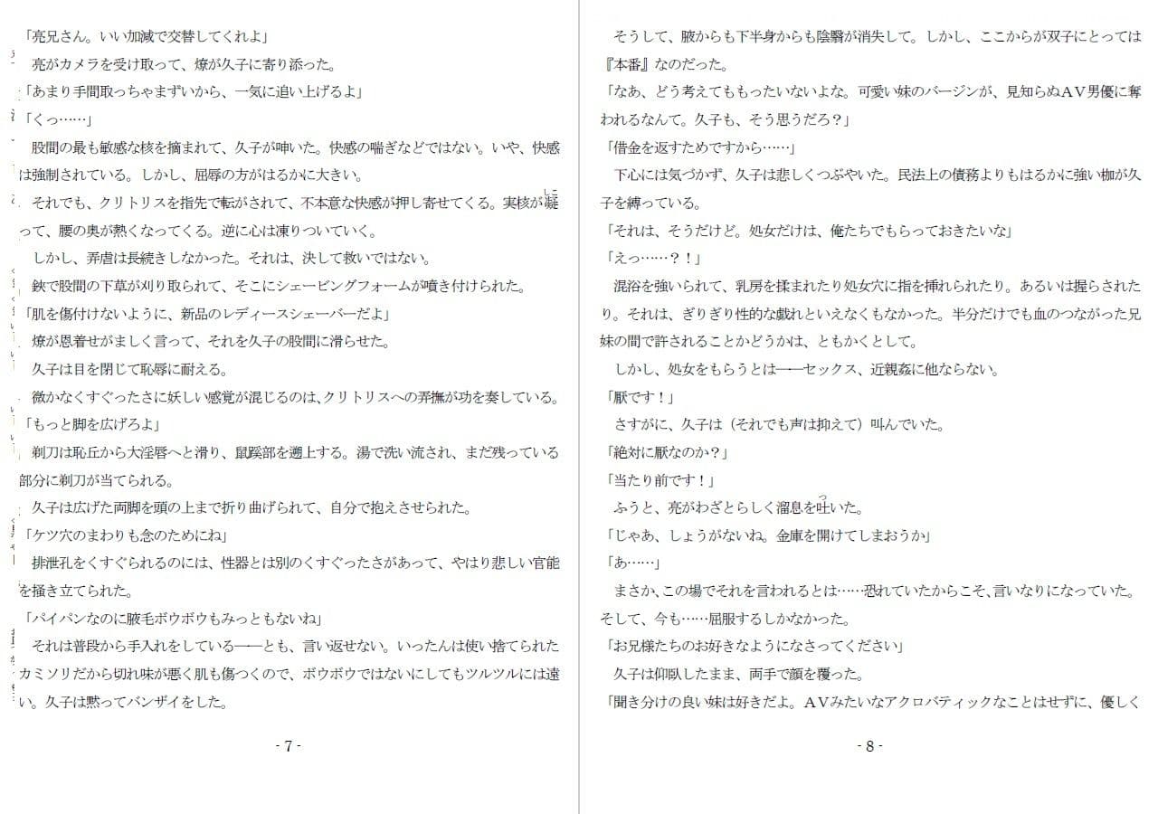 800万円のDVR:1淫虐調教編 サンプル 4