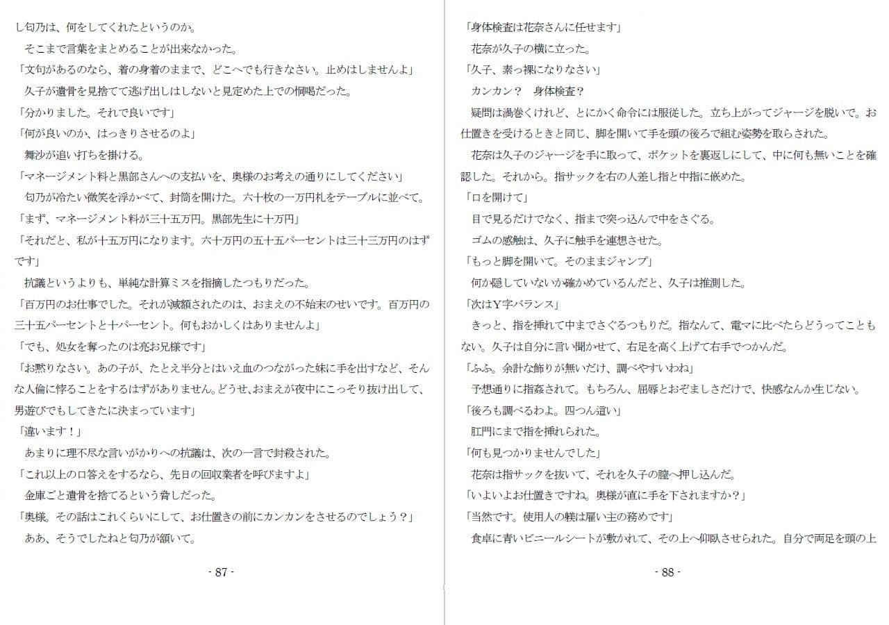 800万円のDVR:1淫虐調教編 サンプル 8