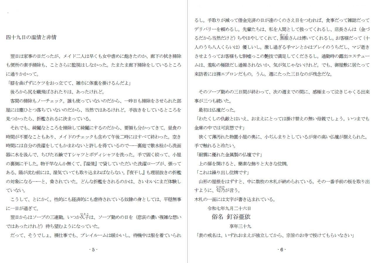 800万円のDVR:2酷虐使役編 サンプル 2