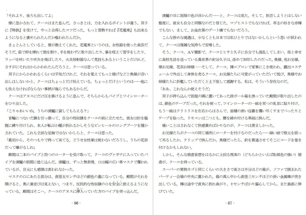 800万円のDVR:2酷虐使役編 サンプル 6