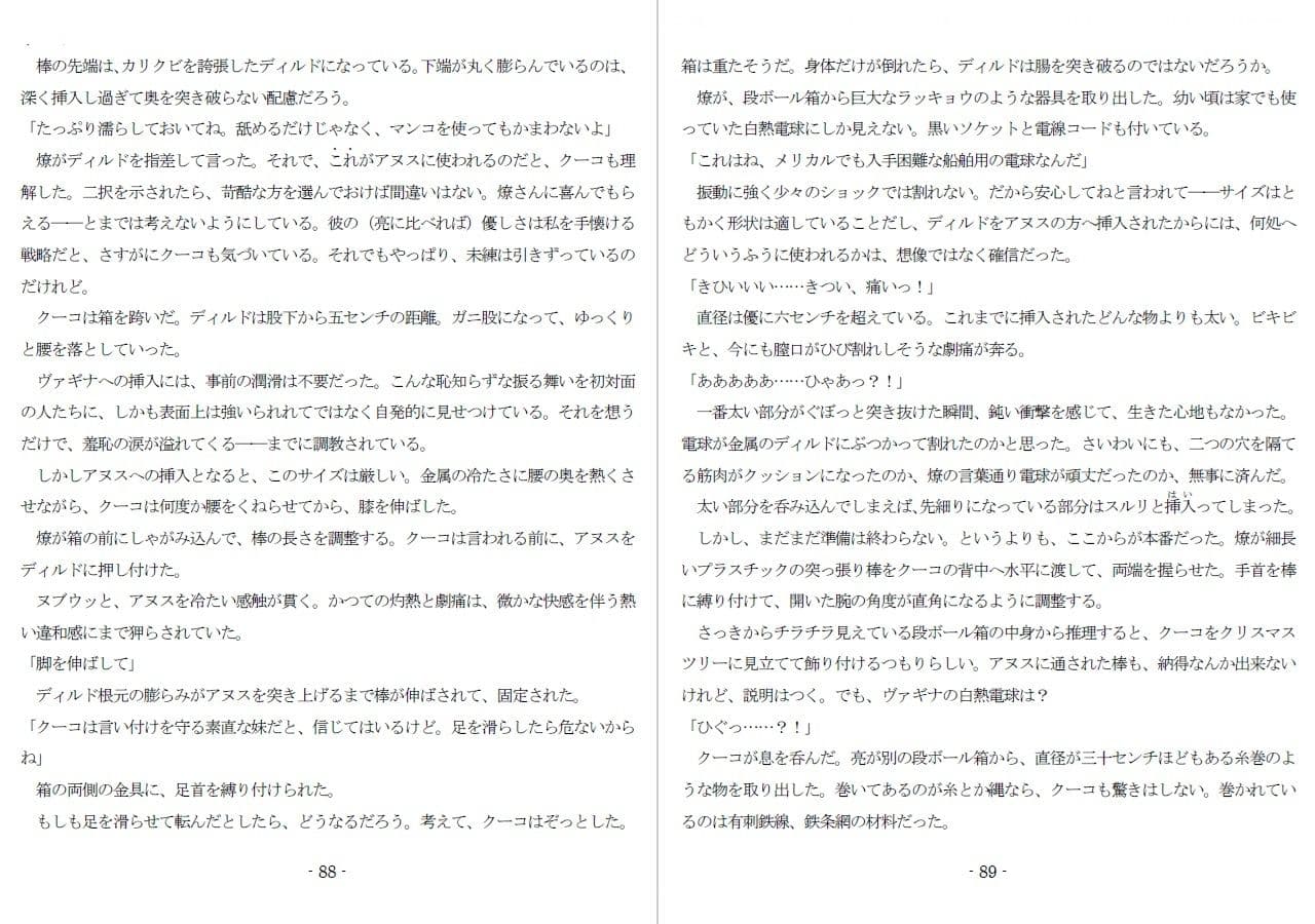 800万円のDVR:2酷虐使役編 サンプル 7