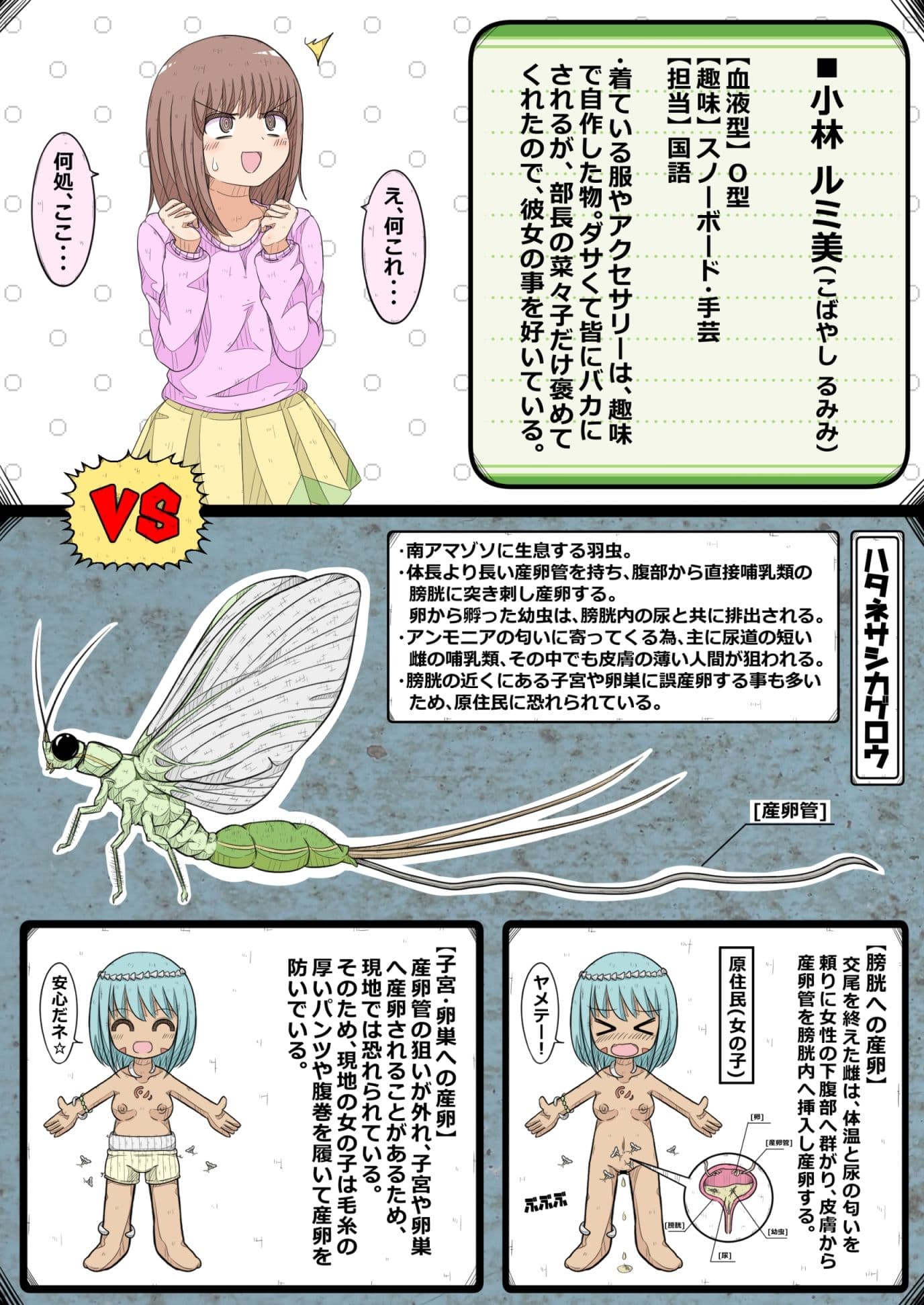 卵巣快楽研究部〜顧問の卵巣を掌握せよ！の巻き〜 サンプル 2