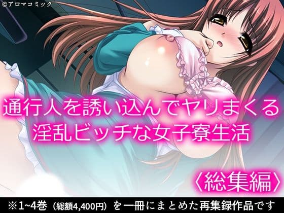 通行人を誘い込んでヤリまくる淫乱ビッチな女子寮生活 ＜総集編＞