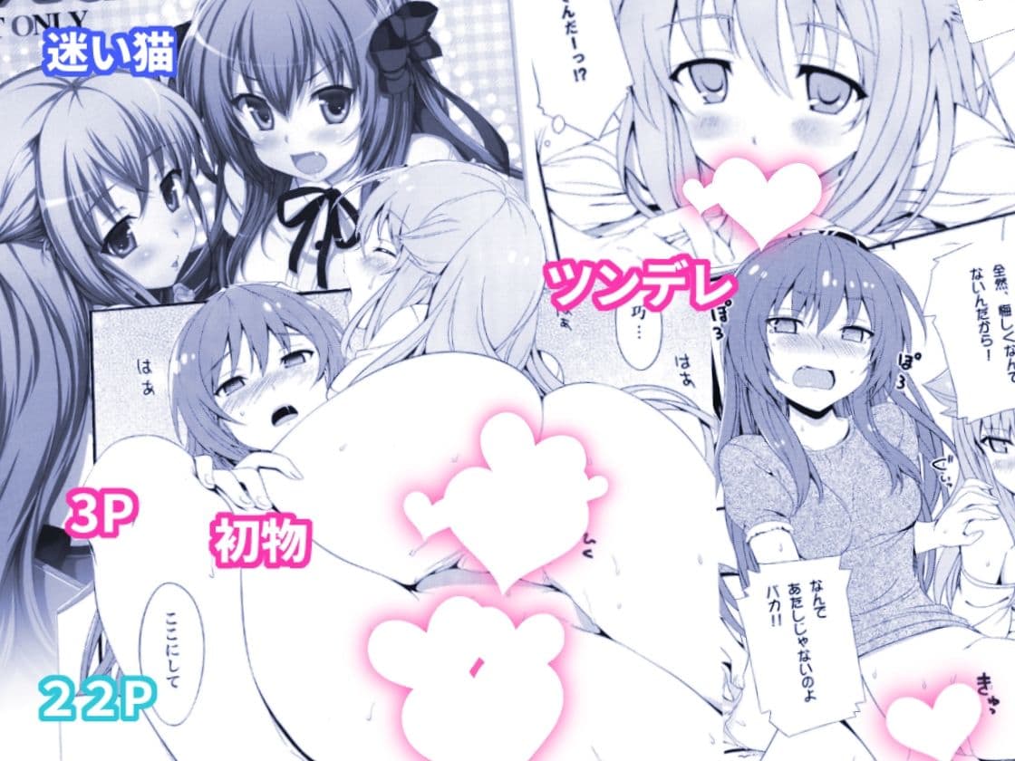 ねこはまんまがうつくしい 最初のまとめ本 サンプル 5
