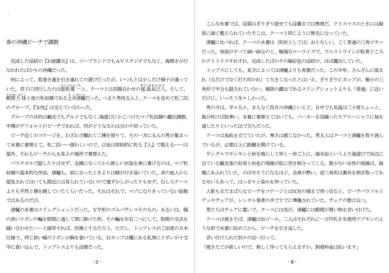 800万円のDVR:3惨虐搾取編 サンプル 1