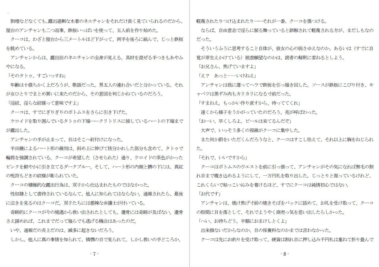 800万円のDVR:3惨虐搾取編 サンプル 2