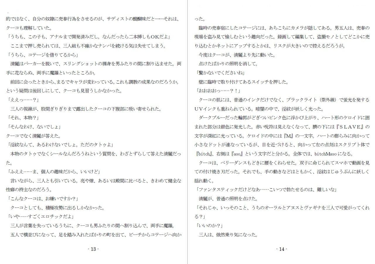 800万円のDVR:3惨虐搾取編 サンプル 5