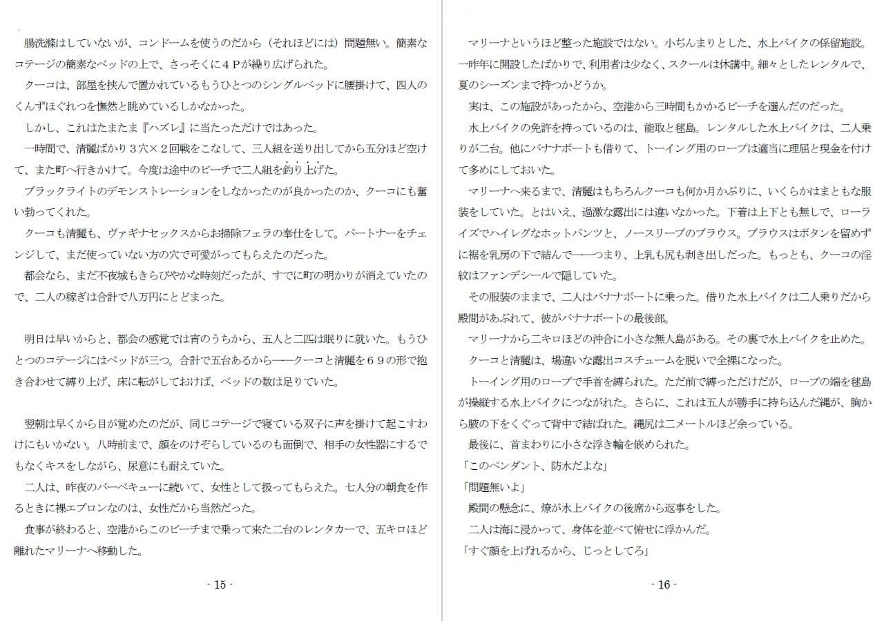 800万円のDVR:3惨虐搾取編 サンプル 6