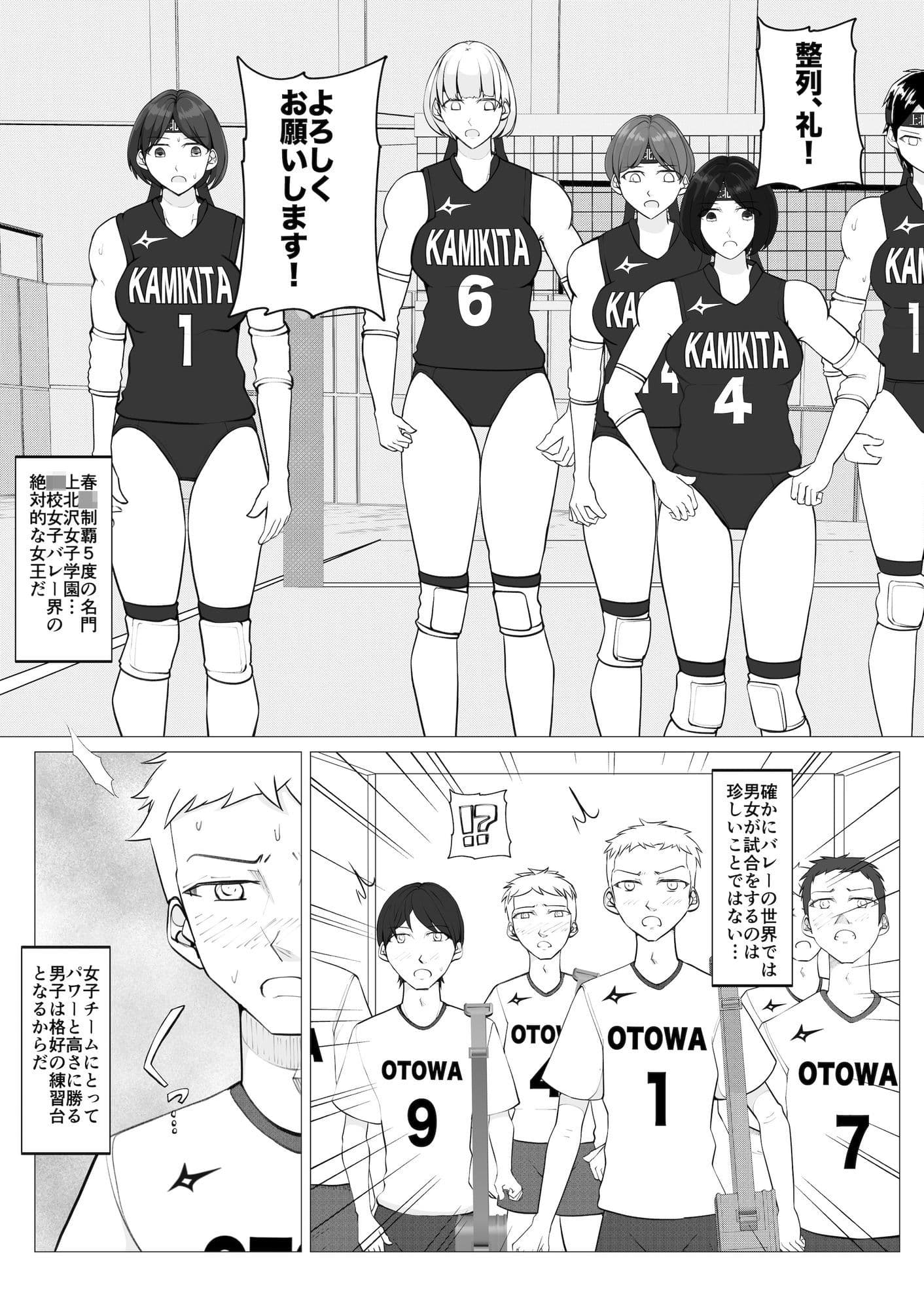 女子vs男子1バレーボール サンプル 1
