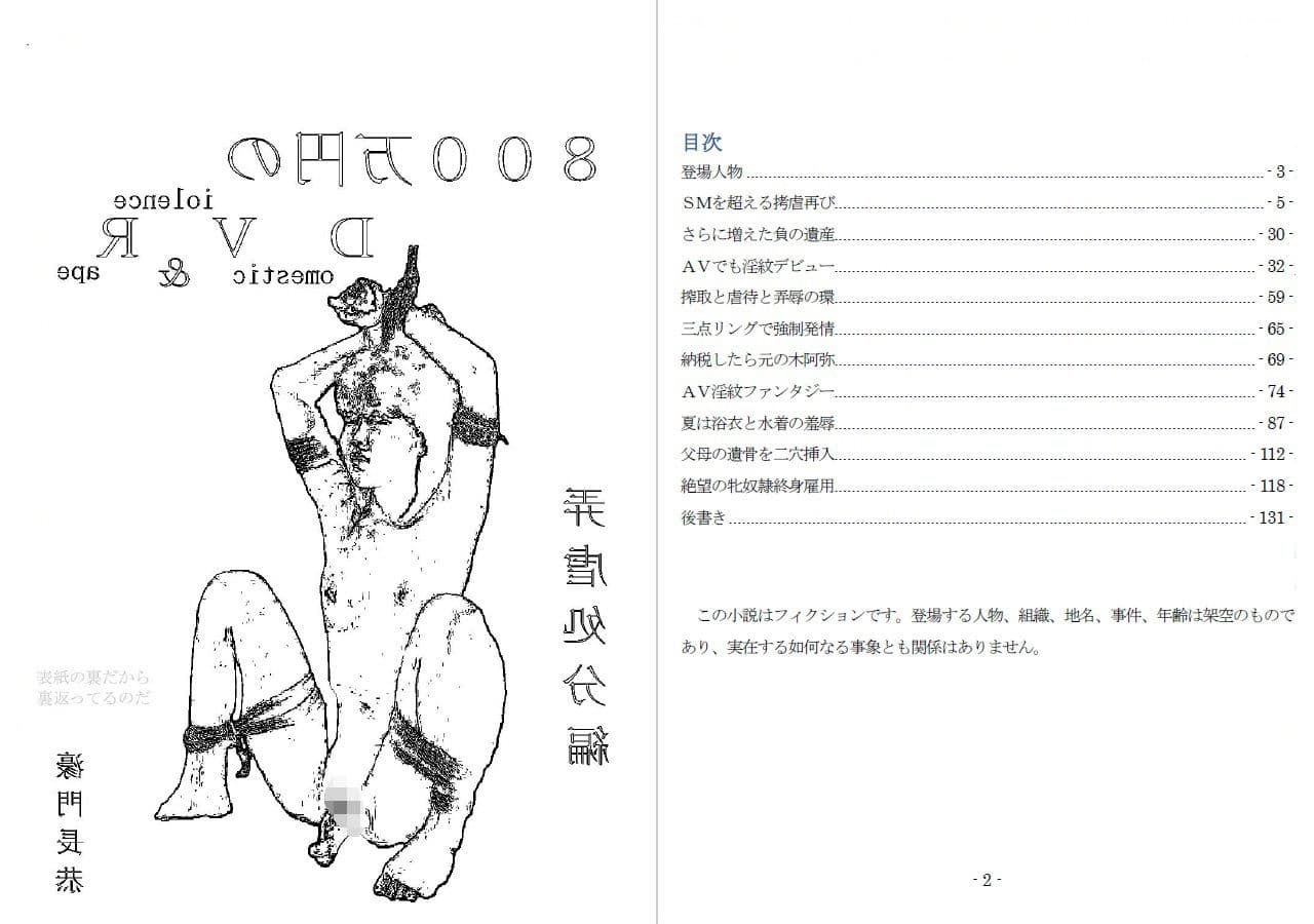 800万円のDVR:4弄虐処分編 サンプル 1