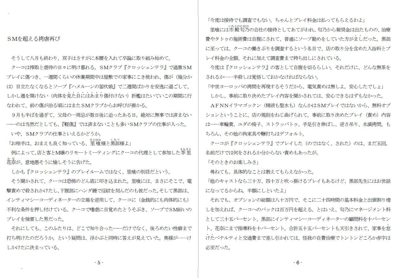 800万円のDVR:4弄虐処分編 サンプル 2