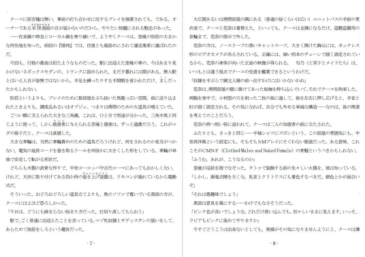 800万円のDVR:4弄虐処分編 サンプル 3