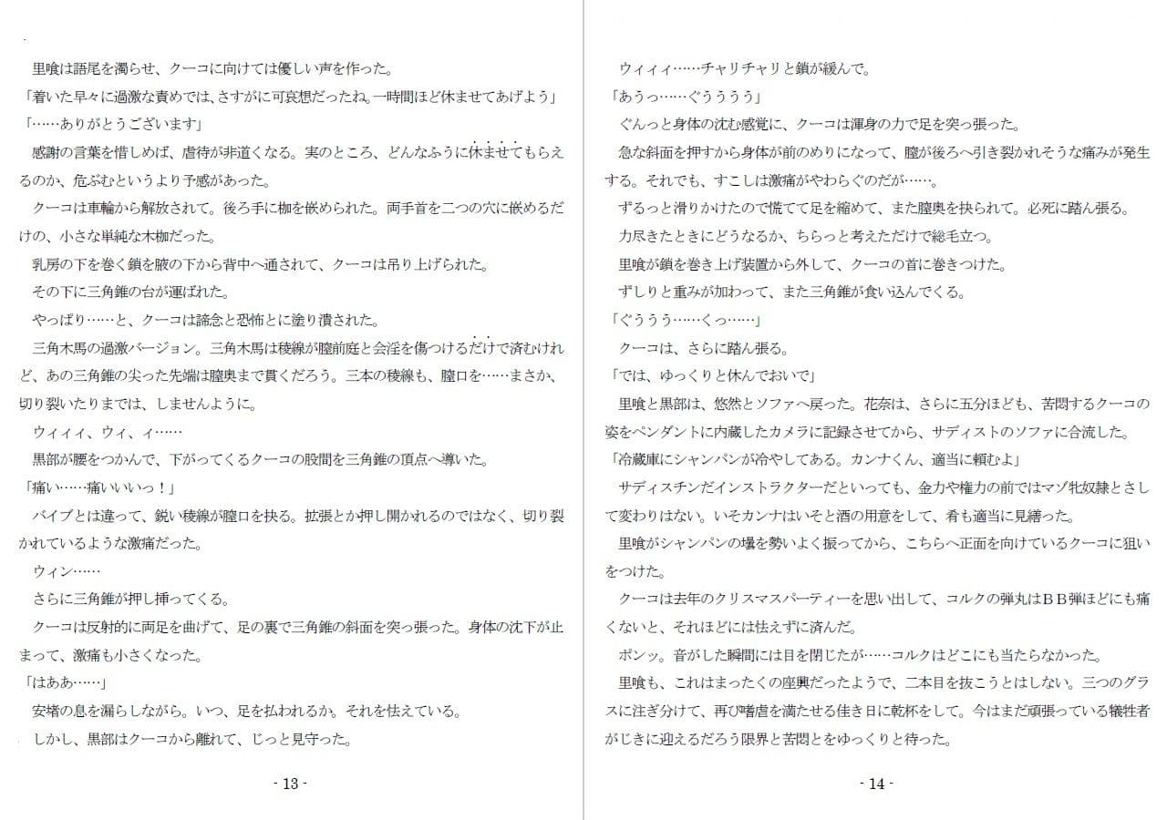 800万円のDVR:4弄虐処分編 サンプル 6