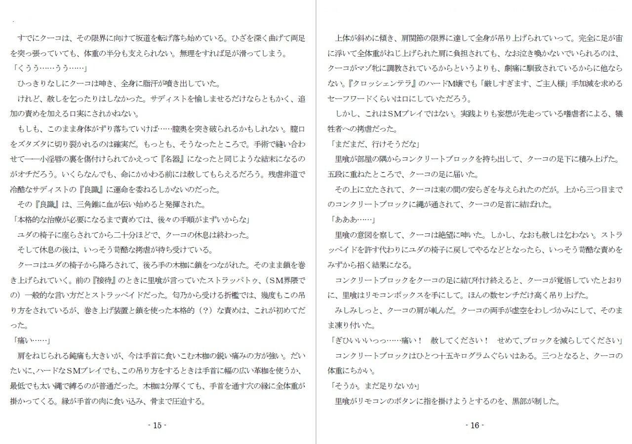 800万円のDVR:4弄虐処分編 サンプル 7