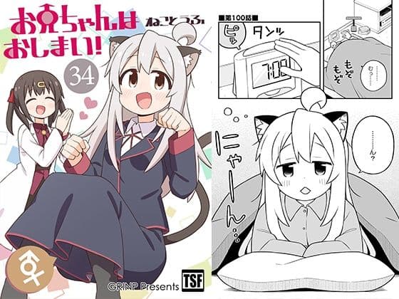 お兄ちゃんはおしまい！34