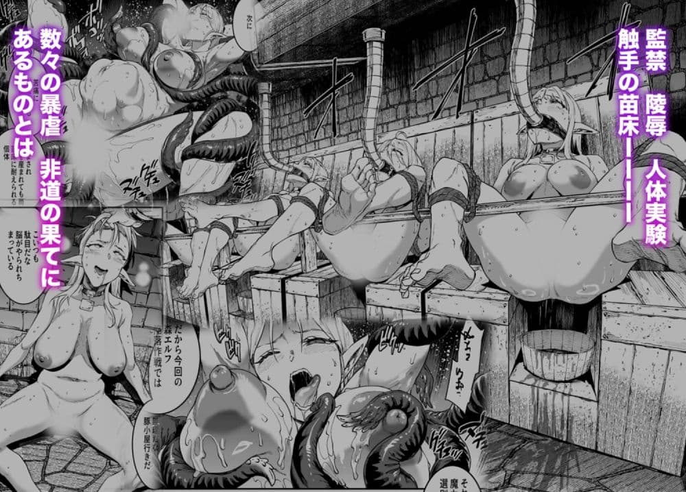 ELVEN BIRTH サンプル 3