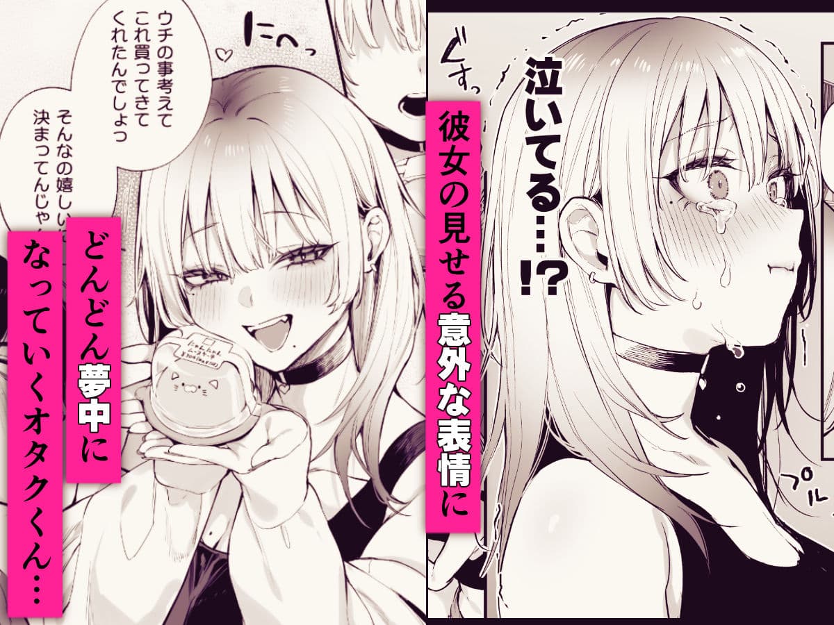 一晩泊めてよ、オタクくん サンプル 5