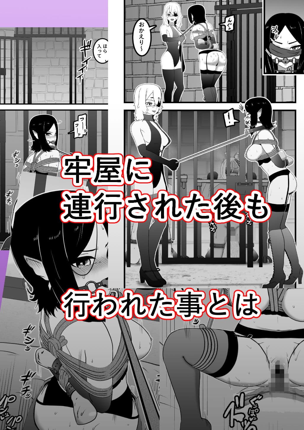 ヴァンパレイド9 〜吸血鬼 三姉妹 脱走編〜 サンプル 10