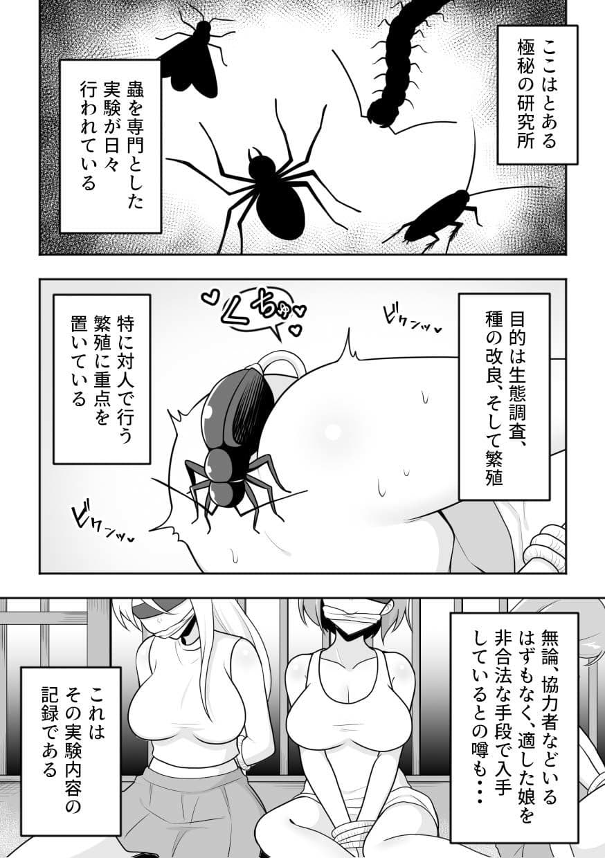 昆蟲研究所4 サンプル 1