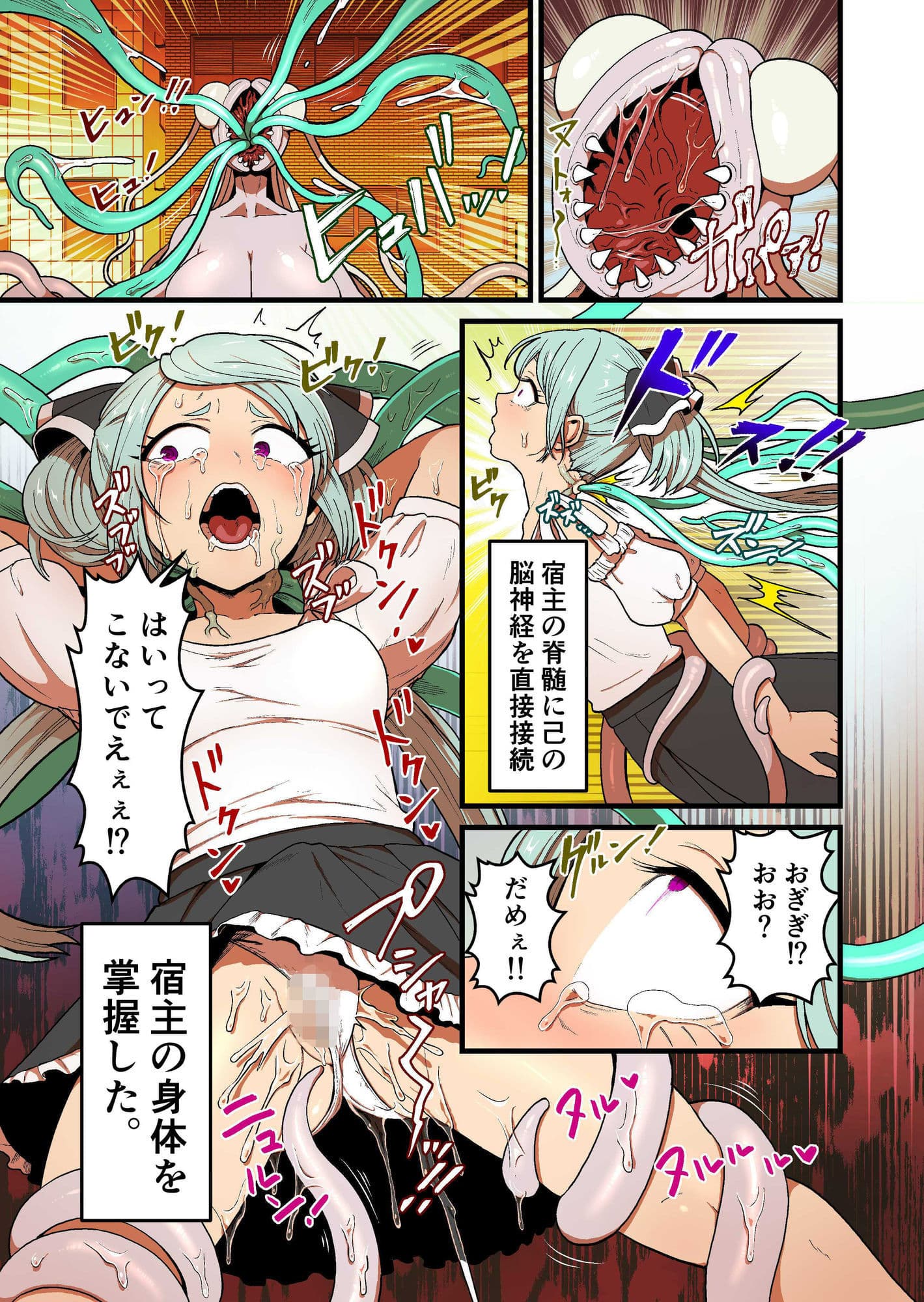 寄星蟲 サンプル 3