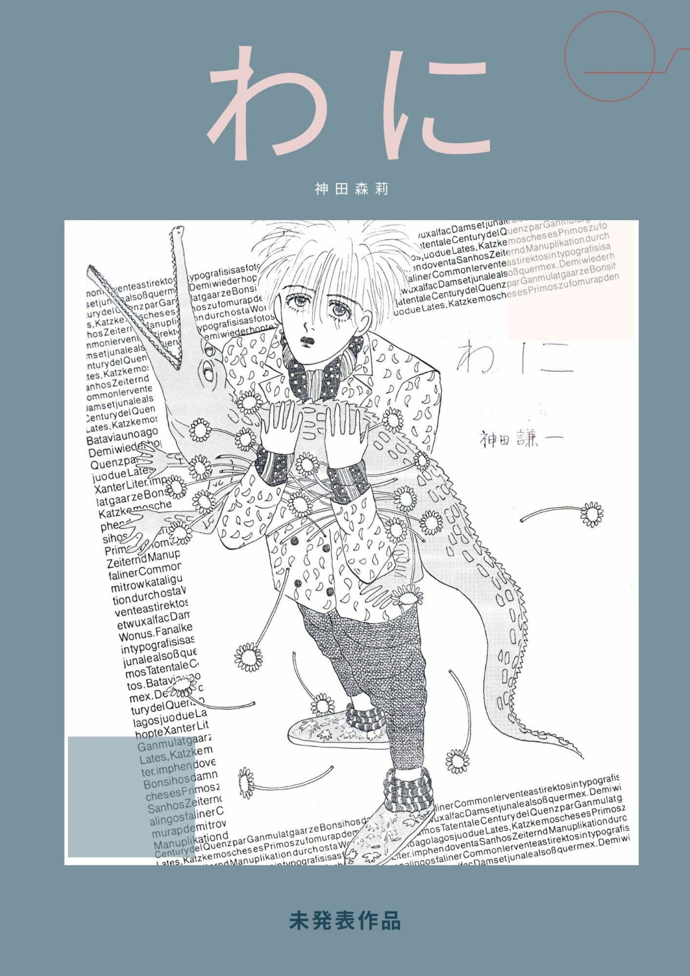 未発表作品『わに』1988年  -  神田森莉 サンプル 1