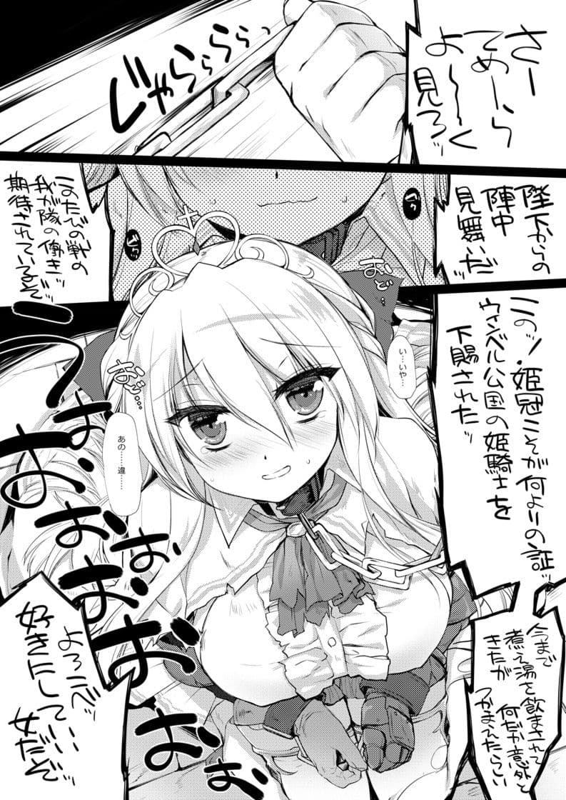 姫騎士ちゃん大敗北集 ミヤスリサside サンプル 1