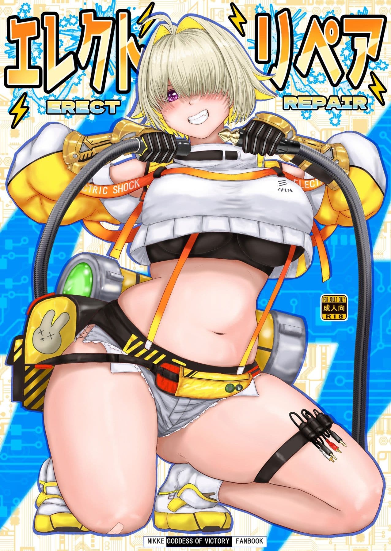 エレクト・リペア サンプル 1